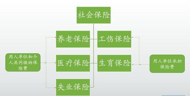社會保險