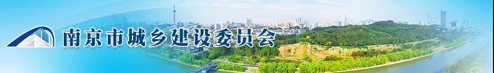 關(guān)于進(jìn)一步落實(shí)住宅工程建設(shè)單位質(zhì)量安全管理責(zé)任的若干意見(jiàn)