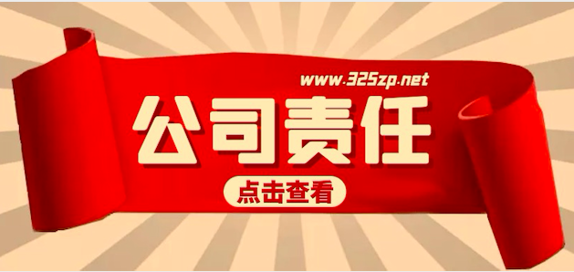 掛靠公司責(zé)任