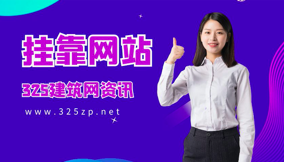 哪個掛靠網流量最大