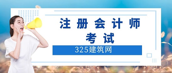 注冊會計師