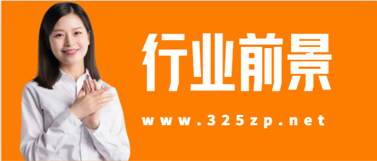 努力考證為了上位還是掛靠？
