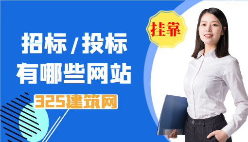 招標(biāo)/投標(biāo)有哪些網(wǎng)站